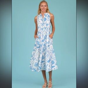 Olivia James Beau Dress in Toile Sky